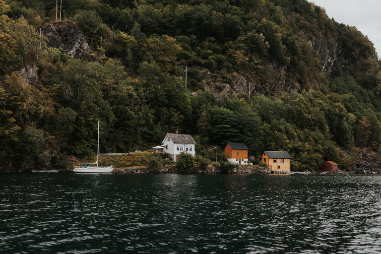 Från Norheimsund: Hardangerfjord &amp; Fyksesund RIB Fjordtur