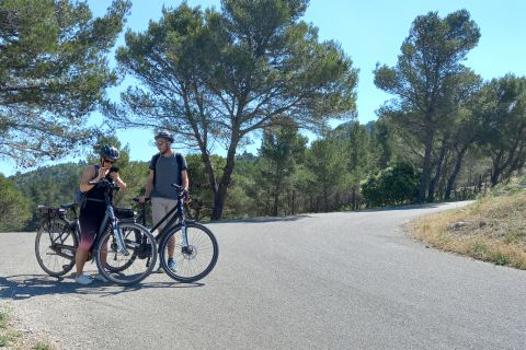 From Avignon: Full Day E-bike Tour in the Alpilles