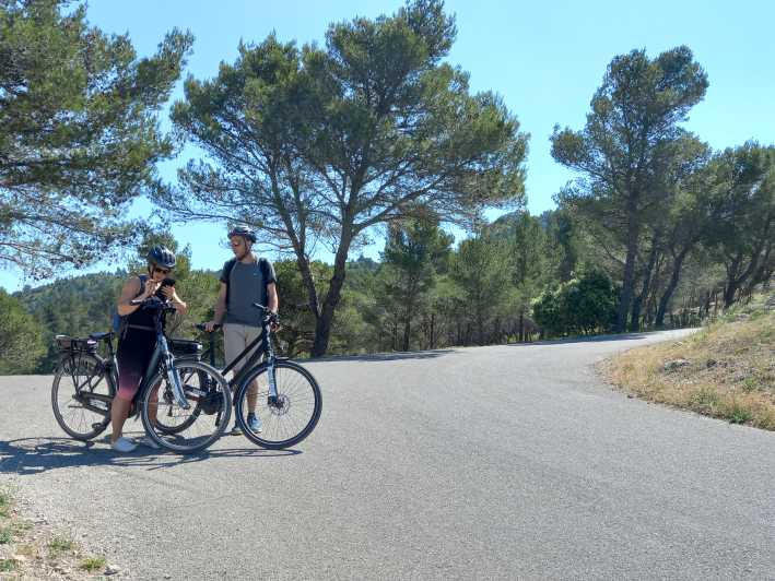 De Avignon: passeio de bicicleta elétrica de dia inteiro nos Alpilles