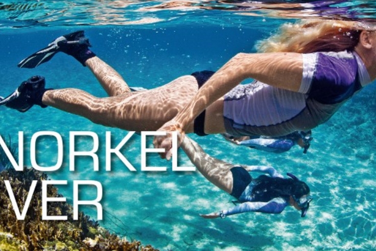 Cala de Mitigliano: Snorkel en barcoEsnórquel en Cala di Mitigliano