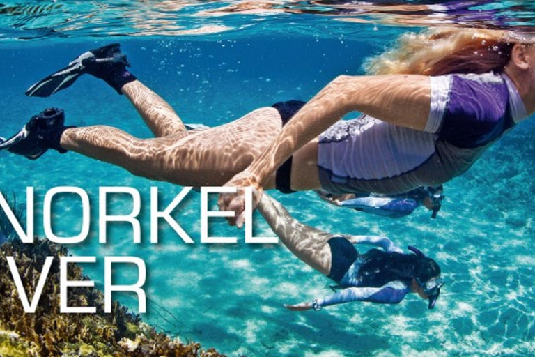 Cala di Mitigliano: snorkelen op een bootSnorkelen in Cala di Mitigliano