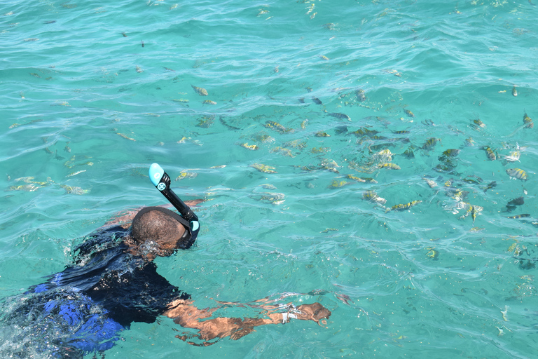 Punta Cana: crucero privado VIP en catamarán y esnórquel