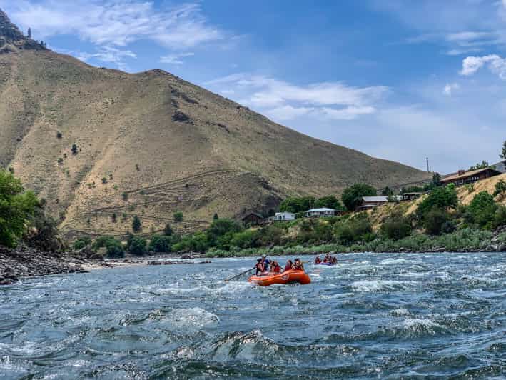 Riggins Salmon River HalbtagesWildwasserRaftingTour GetYourGuide