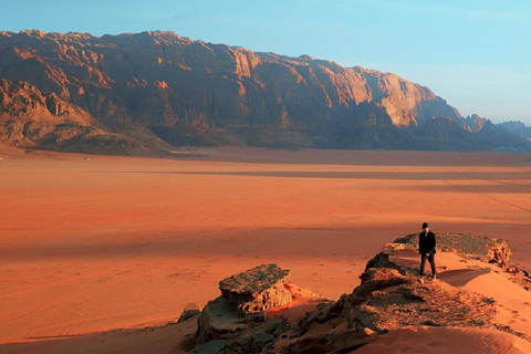 Wadi Rum: Bedouin Culture Tour with Bedouin Guide in desert CAML TOUR 1HOUR
