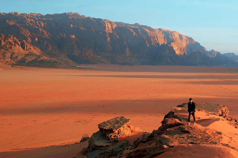 Wadi Rum: Bedouin Culture Tour with Bedouin Guide in desert CAML TOUR 1HOUR