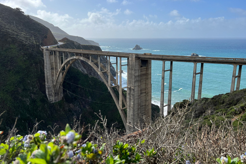 Från San Francisco: Privat rundtur i Carmel, Monterey och Big Sur