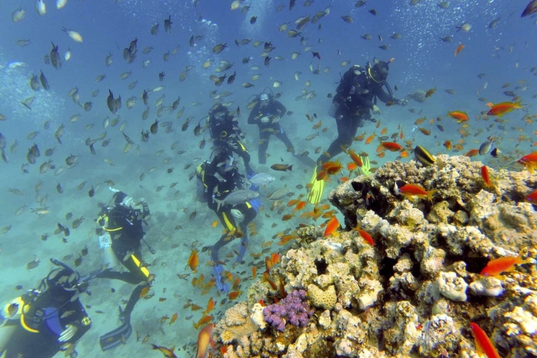 Hurghada: Full-Day Scuba Diving DiscoveryDiscovery Diving voor niet-gecertificeerde duikers