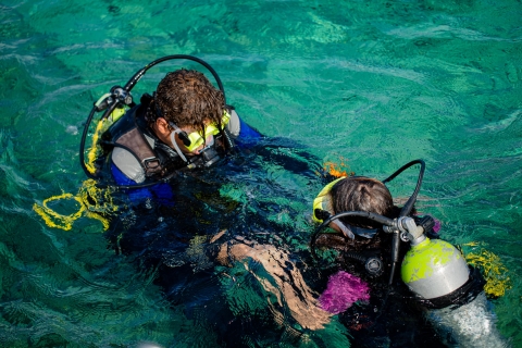 Hurghada: całodniowe odkrywanie nurkowaniaDiscovery Diving dla niecertyfikowanych nurków