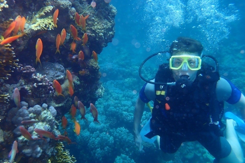 Hurghada: Full-Day Scuba Diving DiscoveryDiscovery Diving voor niet-gecertificeerde duikers