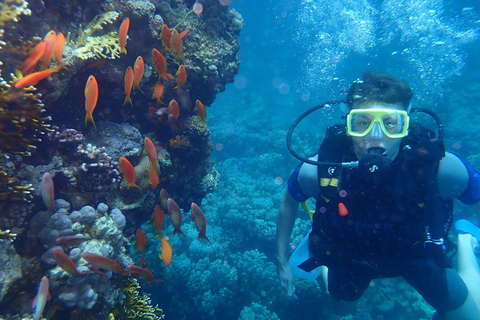 Hurghada: Full-Day Scuba Diving DiscoveryIntroductieduiken voor niet-gecertificeerde duikers