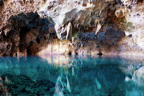 Punta Cana & La Romana : Visite guidée de Santo Domingo et déjeuner