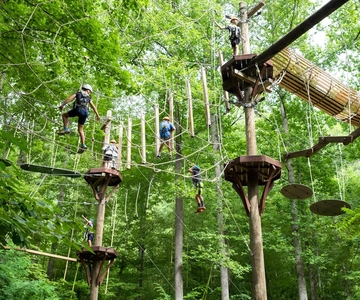 Bryson City: Zip Line Adventure Park Pass con attrezzatura