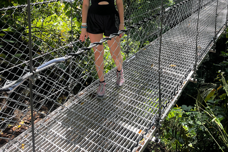 La Fortuna: Tour dei ponti sospesi e della zip line con pranzo