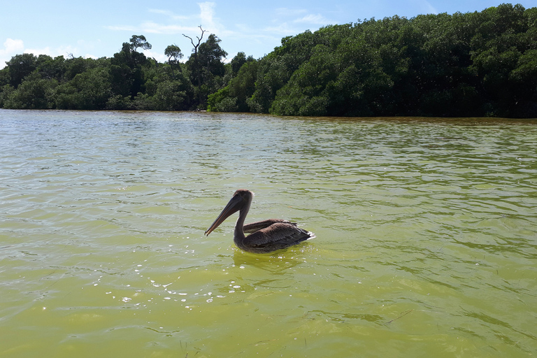 Depuis Cancún : excursion aux lacs roses de Las ColoradasDepuis Cancún : journée à Las Coloradas et à Ek Balam