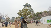 Osaka , 4 heures Osaka Highlights Tour en vélo - Hizvo