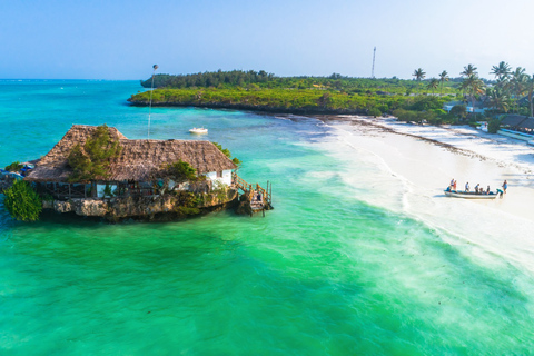 Zanzibar: Rundtur i Jozani-skogen och Rock RestaurantZanzibar: Rundtur i Jozani Forest och Rock Restaurant