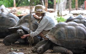 Zanzibar: Prison Island, Tortoises and Spices Half-Day Tour