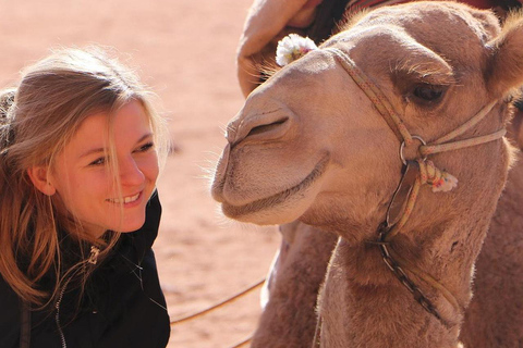 Ganztägige Jeeptour (9 Stunden) mit Übernachtung und allen MahlzeitenGanztägige Jeeptour in der Wüste