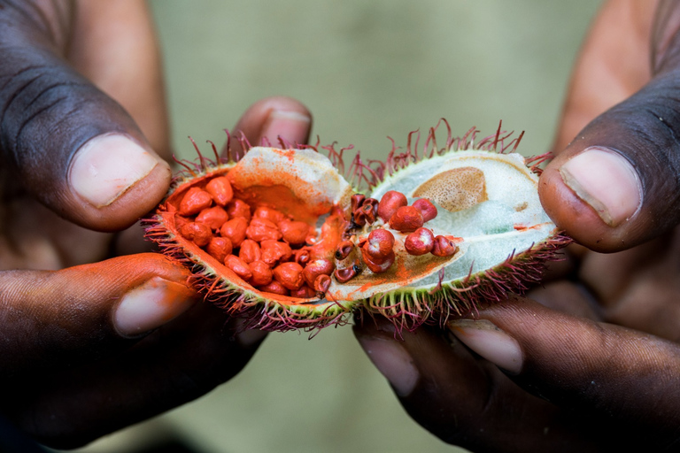 Zanzibar: Prison Island and Spice Tour