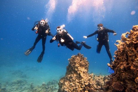 Aqaba : Excursion privée de plongée en mer RougeAqaba : Circuit privé de plongée en mer Rouge