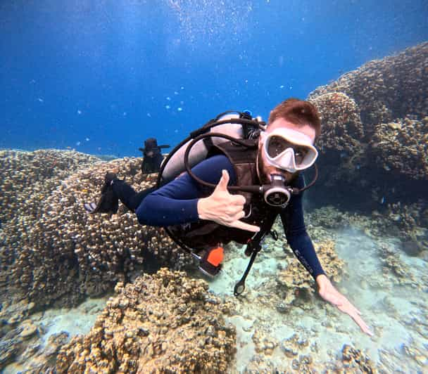 Aqaba Private Red Sea Diving For Beginner Or Experienced Getyourguide