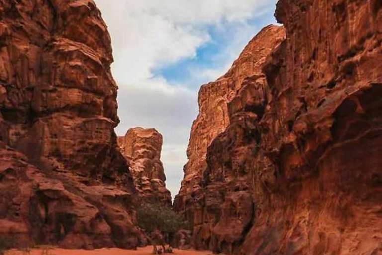 Wadi Rum Ganztägige KameltourKameltour in der Wadi Rum Wüste