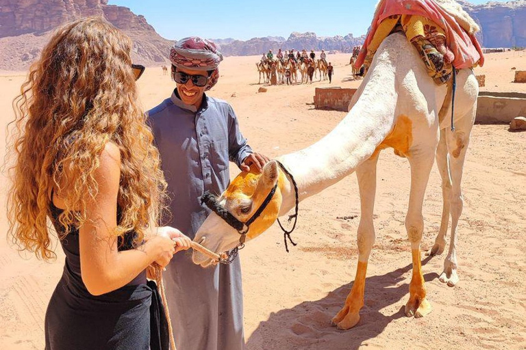 Wadi Rum Ganztägige KameltourKameltour in der Wadi Rum Wüste