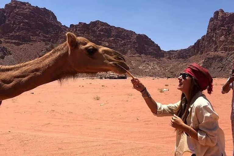 Wadi Rum Ganztägige KameltourKameltour in der Wadi Rum Wüste
