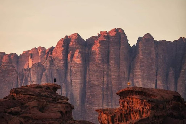 Wadi Rum Ganztägige KameltourKameltour in der Wadi Rum Wüste