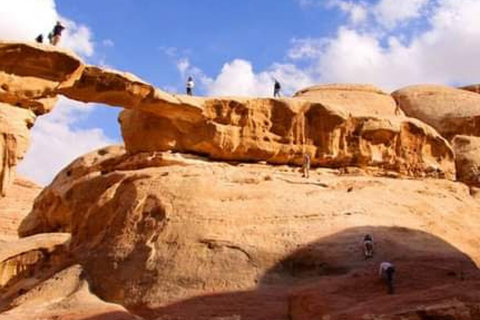 Wadi Rum Ganztägige KameltourKameltour in der Wadi Rum Wüste