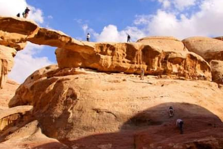 Wadi Rum Ganztägige KameltourKameltour in der Wadi Rum Wüste