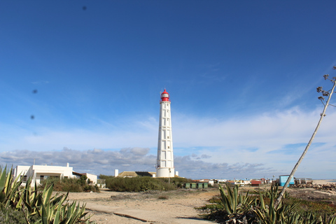 From Faro: 4 Stops, 3 Islands in Ria Formosa Catamaran Tour