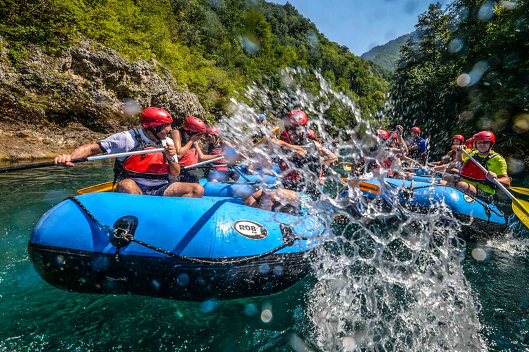 De Kotor: Excursão de rafting em águas brancas no rio Tara com almoço