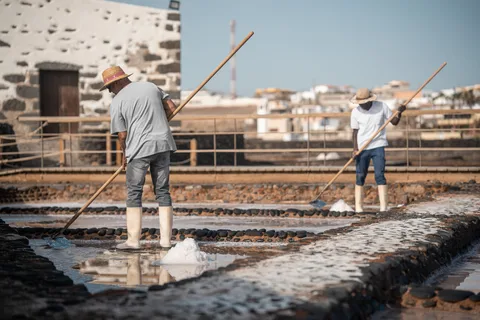 Fuerteventura: Tickets de entrada a los Museos de la Sal, el Queso y los Molinos de Viento