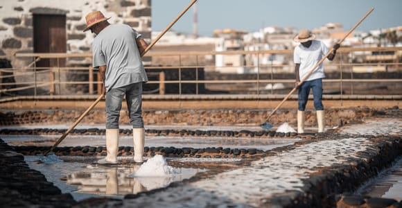 Fuerteventura: Tickets to Salt, Cheese and Windmill Museums
