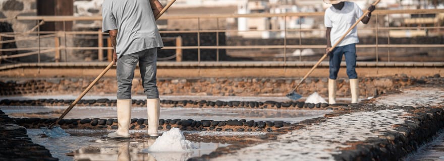 Fuerteventura : Billets pour les musées du sel, du fromage et des moulins à vent