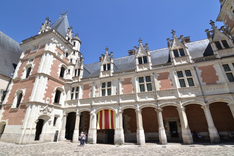 Blois : Private Besichtigung des Schlosses mit EintrittskartenBlois : Privater Rundgang durch das Schloss