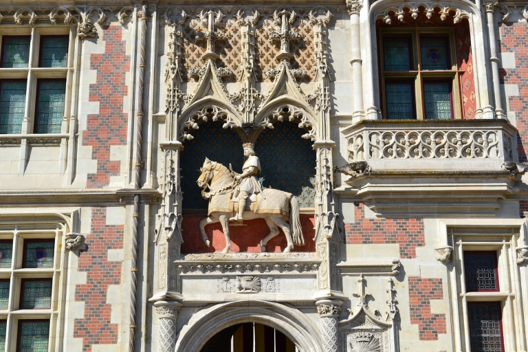 Blois : Visita privada del Castillo con entradasBlois : Visita privada a pie del Castillo