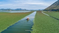 Desde Kotor, Skadar Lake y Biogradska Gora Day Tour - Housity