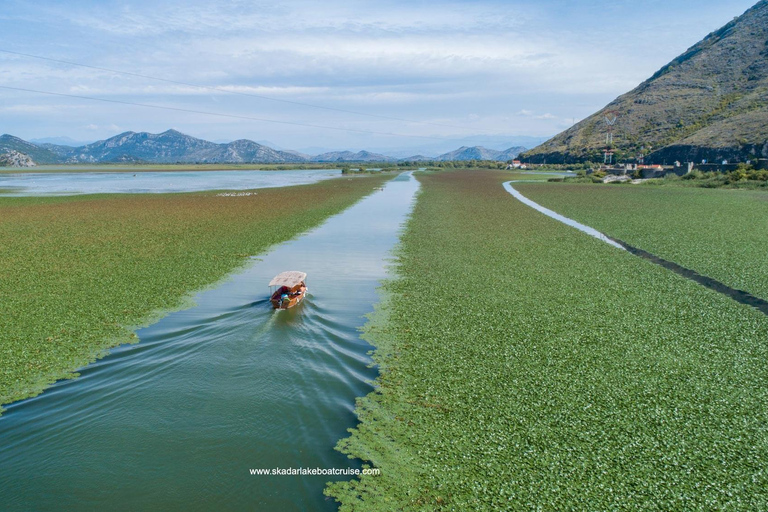 Desde Kotor: Excursión de un día al Lago Skadar y Biogradska Gora