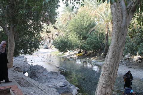 De Mascate: excursion d'une journée au fort Nakhal