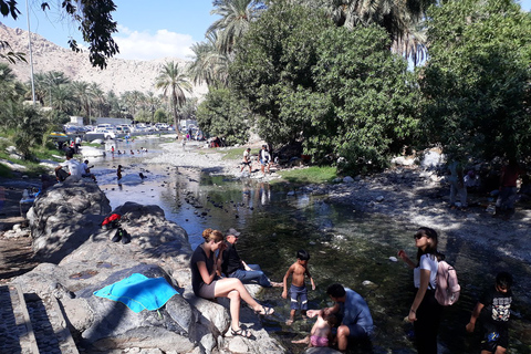 De Mascate: excursion d'une journée au fort Nakhal