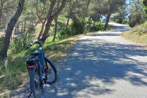 Ab Aix-en-Provence: Ganztägige E-Bike-Tour im Luberon