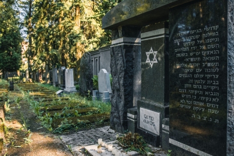 Visita en coche al patrimonio judío de Vilna, incluido el holocausto de Paneriai