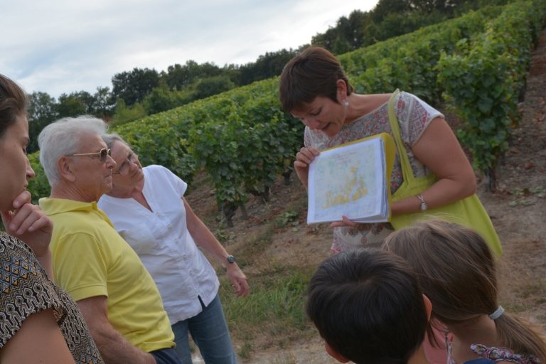 Vallée de la Loire : Visite du vignoble de Vouvray et dégustation de vinsVallée de la Loire : Visite du vignoble de Vouvray et dégustation de vin