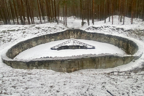 Visite du patrimoine juif de Vilnius en voiture, y compris l'holocauste de Paneriai