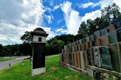 Visita en coche al patrimonio judío de Vilna, incluido el holocausto de Paneriai