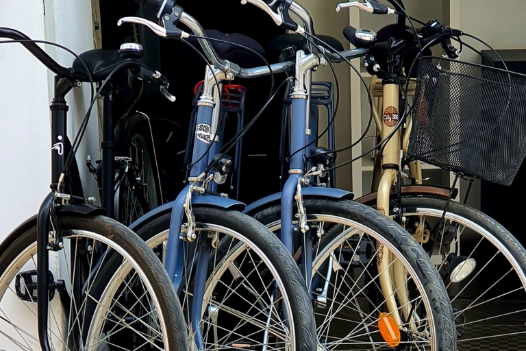 Malaga: Private Rental bike