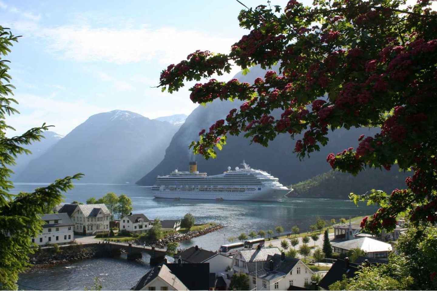 From Hellesylt: The Best of Geiranger Shore Excursion