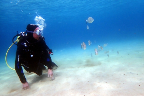 Lanzarote: Small Group Beginner Scuba Diving Course